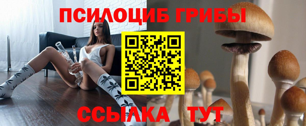 Ипатово  Галлюциногенные грибы GOLDEN TEACHER  Вход с VPN  Галлюциногенные грибы Psilocybine cubensis 
